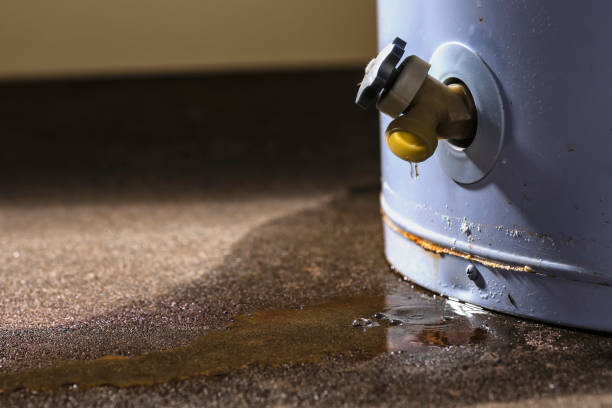 Best Commercial water damage restoration  in Cambridge Springs, PA