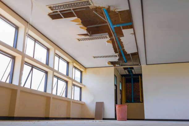 Best Flood restoration services  in Cambridge Springs, PA