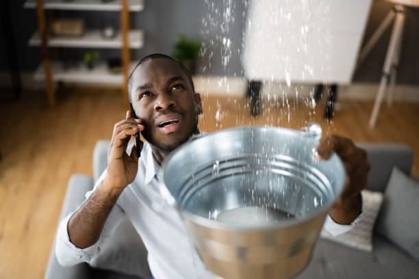 Best Water damage contractors near me  in Cambridge Springs, PA