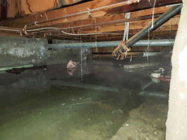 Best Water damage restoration near me  in Cambridge Springs, PA