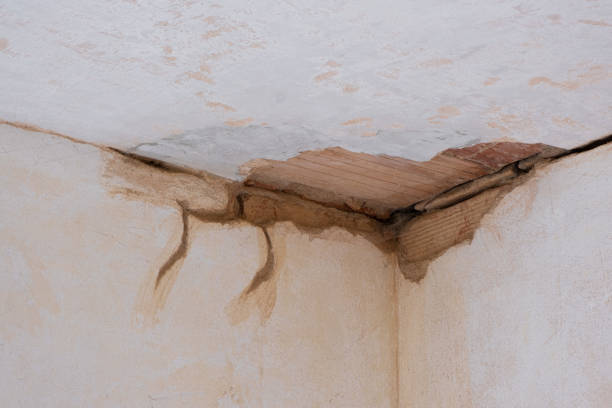 Best Local water damage restoration  in Cambridge Springs, PA