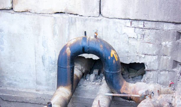 Best Water damage cleanup near me  in Cambridge Springs, PA