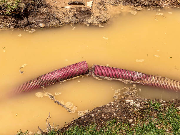 Best 24-hour water damage restoration  in Cambridge Springs, PA
