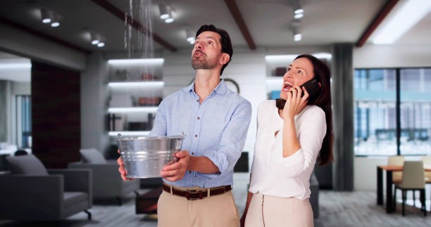 Best Professional water damage repair  in Cambridge Springs, PA
