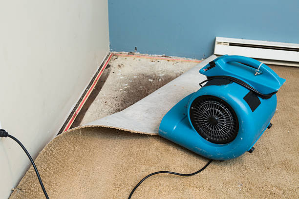 Best Water damage restoration near me  in Cambridge Springs, PA